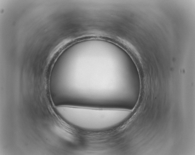 X0000089951318200706290826