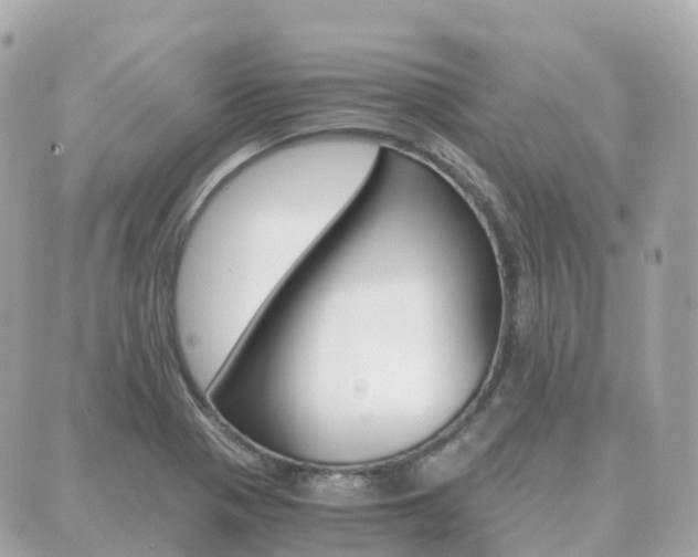 X0000089951321200706290826