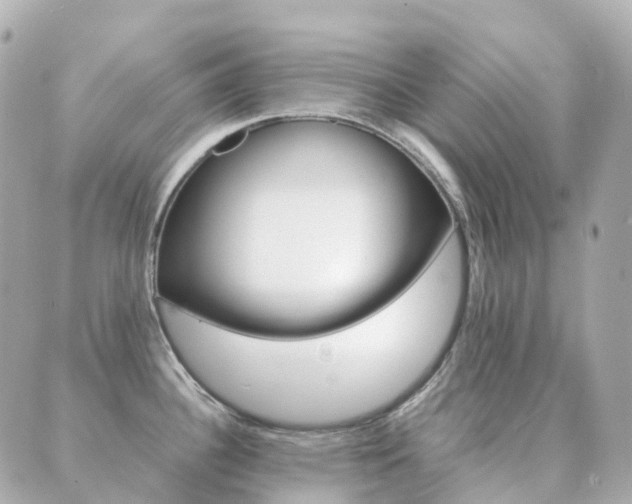 X0000089951340200706290826