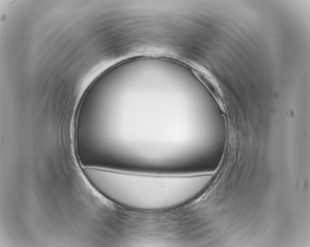 X0000089951343200706290826