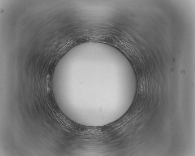 X0000089951346200706290825