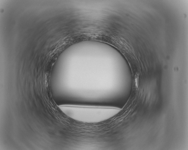 X0000089951347200706290825