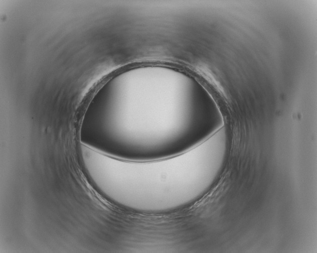 X0000089951356200706290825