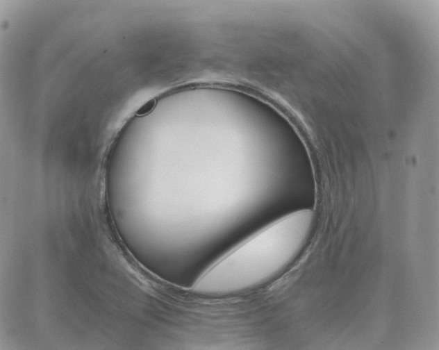 X0000089951367200706290825