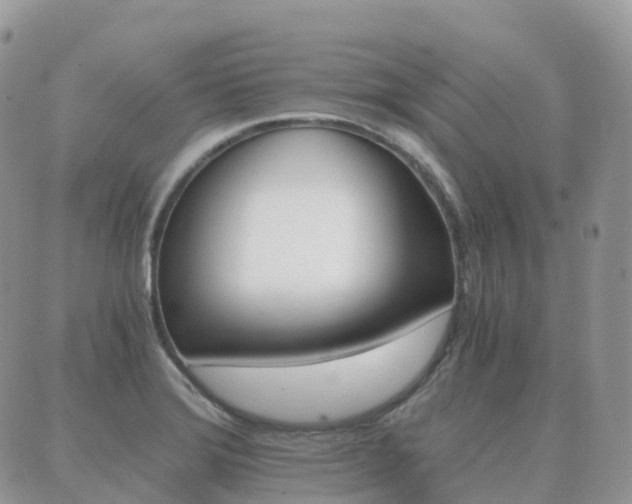 X0000089951372200706290825