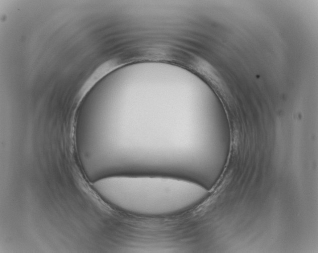 X0000089951378200706290825