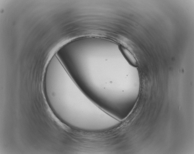 X0000089951379200706290825