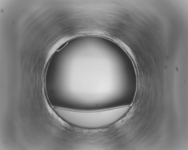 X0000089951389200706290825