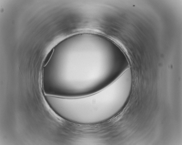 X0000089951391200706290824