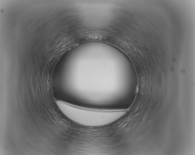 X0000089951394200706290824