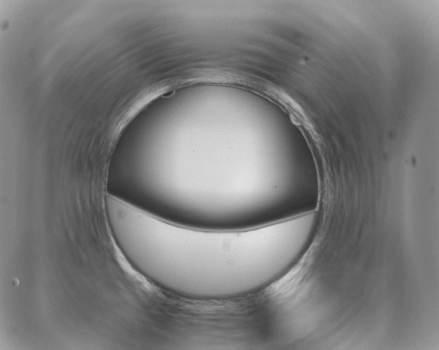 X0000089951433200706290824