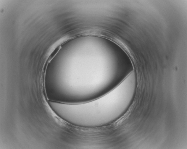 X0000089951434200706290824
