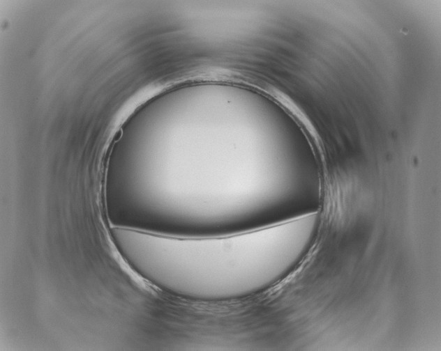X0000089951437200706290824
