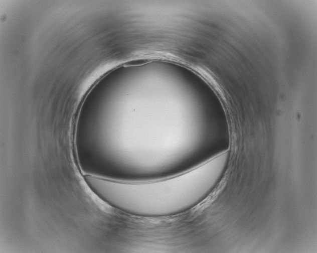X0000089951438200706290824