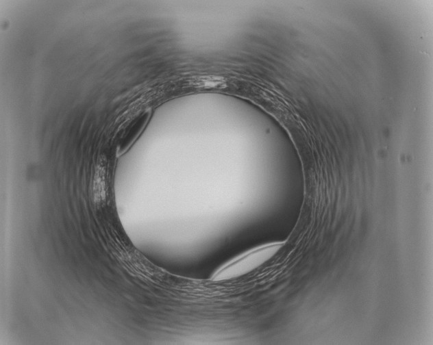 X0000089951442200706290824