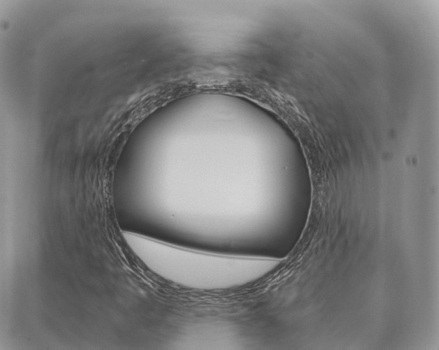 X0000089951445200706290824
