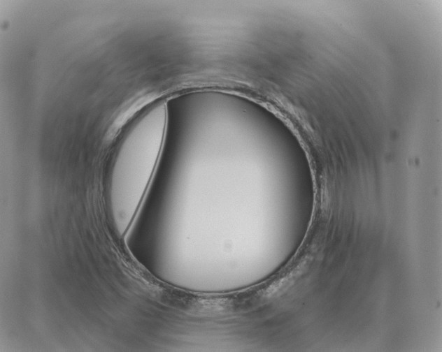 X0000089951453200706290823