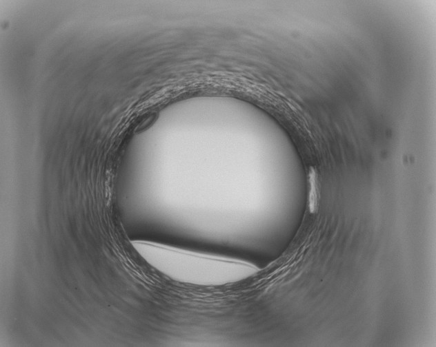 X0000089951491200706290822
