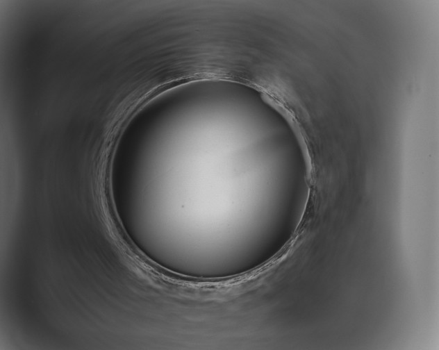 X0000089950001200706291220