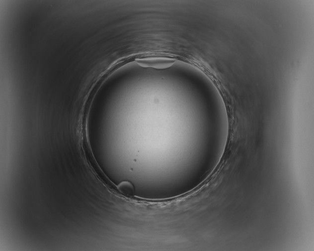 X0000089950002200706291220