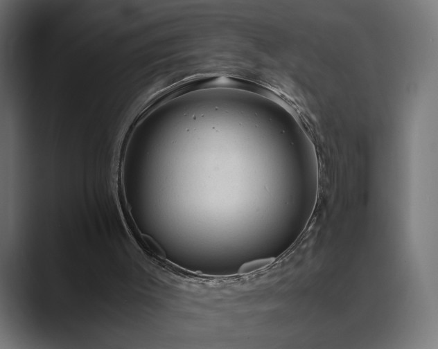 X0000089950003200706291220