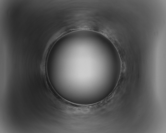 X0000089950004200706291220