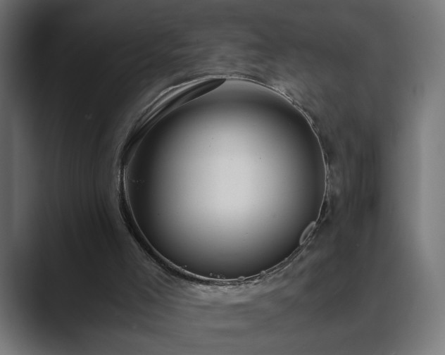 X0000089950005200706291220