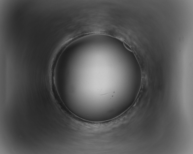 X0000089950006200706291220
