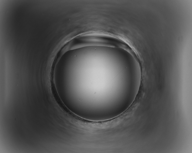 X0000089950007200706291220