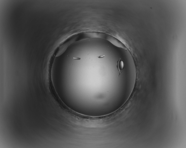X0000089950008200706291220
