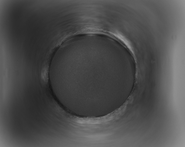 X0000089950009200706291220