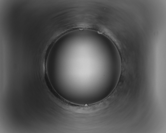 X0000089950011200706291220