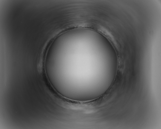 X0000089950012200706291220