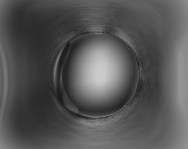 X0000089950013200706291220