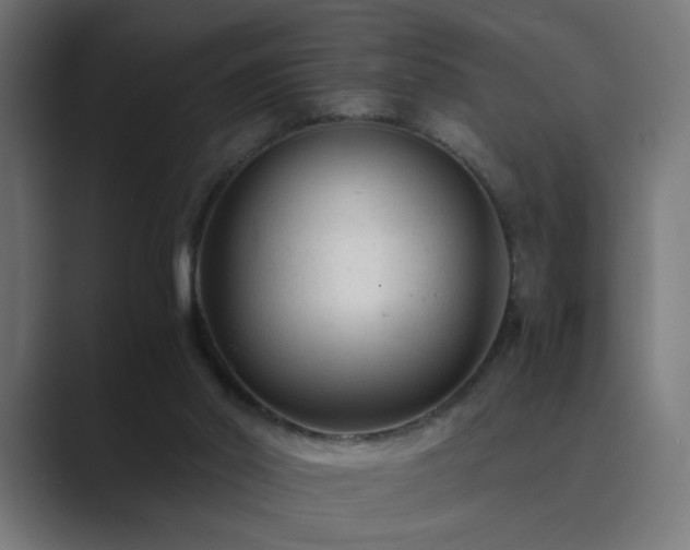 X0000089950014200706291220