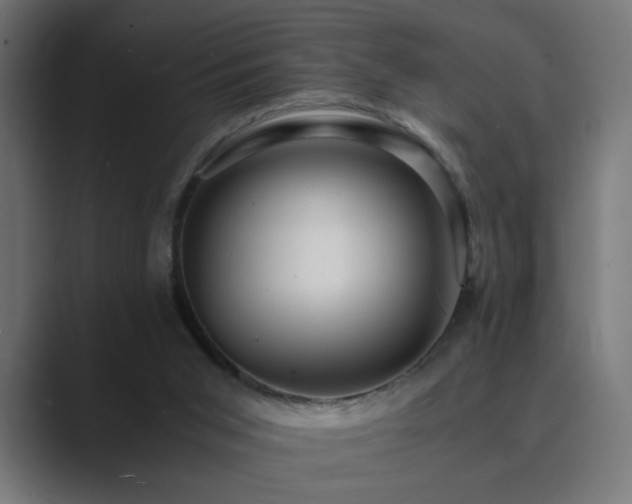X0000089950015200706291220