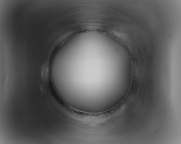 X0000089950016200706291220