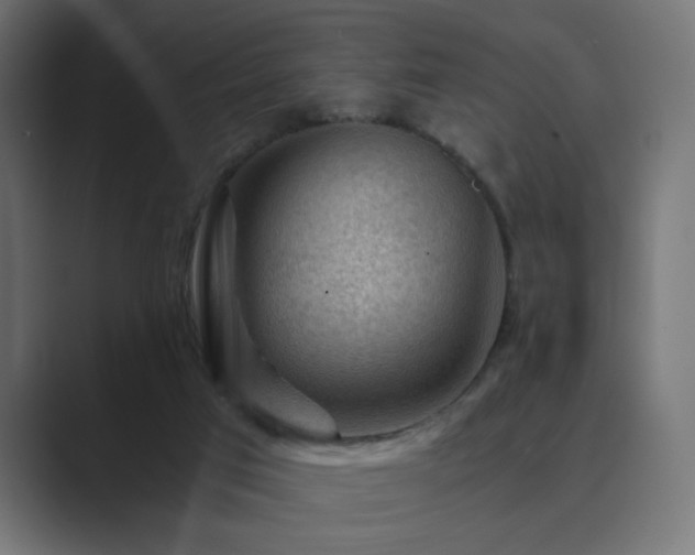 X0000089950017200706291220