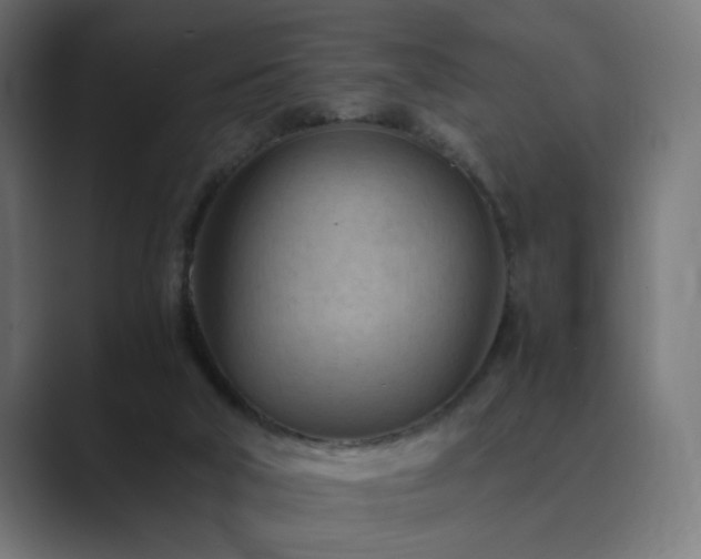 X0000089950018200706291220