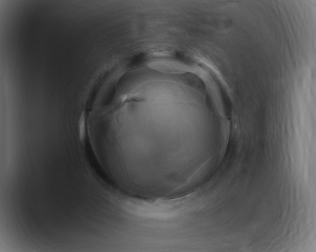 X0000089950019200706291220