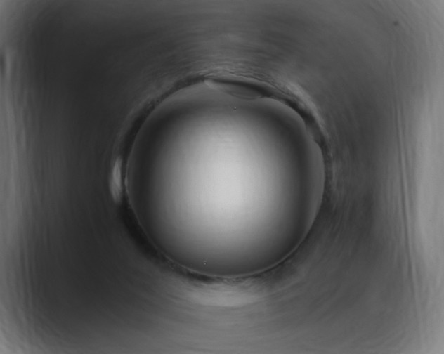 X0000089950020200706291219
