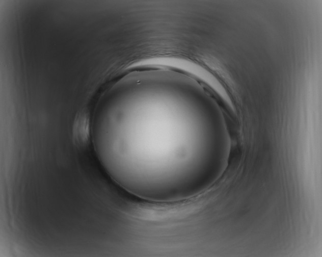 X0000089950021200706291219