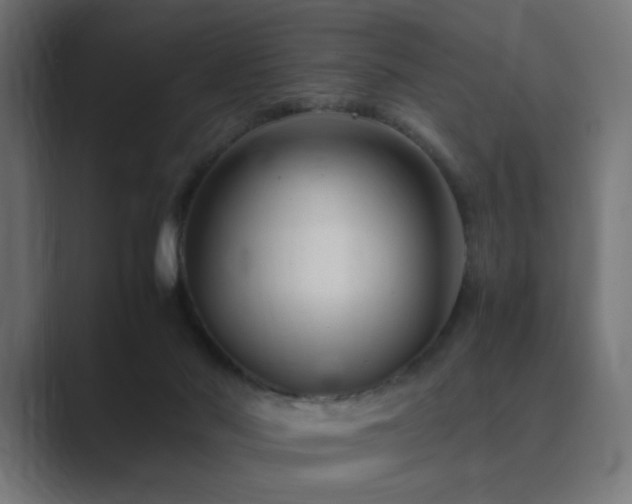 X0000089950022200706291219