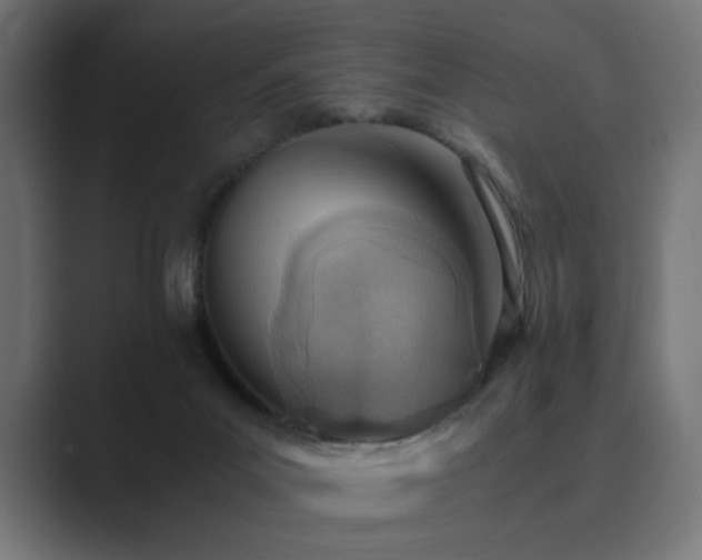 X0000089950023200706291219