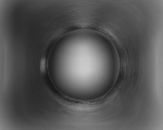 X0000089950024200706291219