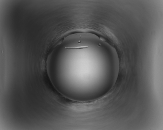 X0000089950025200706291219