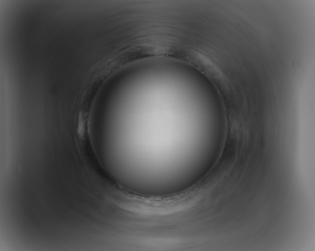 X0000089950026200706291219