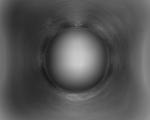 X0000089950030200706291219