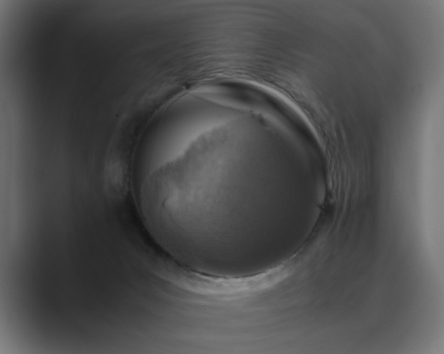 X0000089950031200706291219