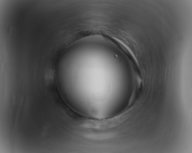 X0000089950033200706291219